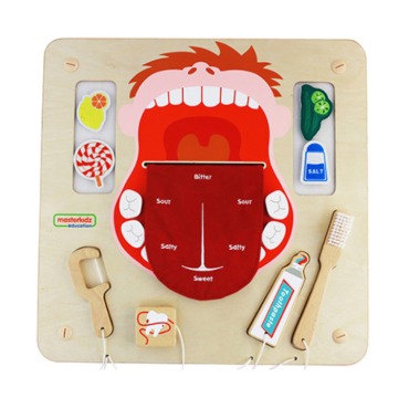 치아학습판